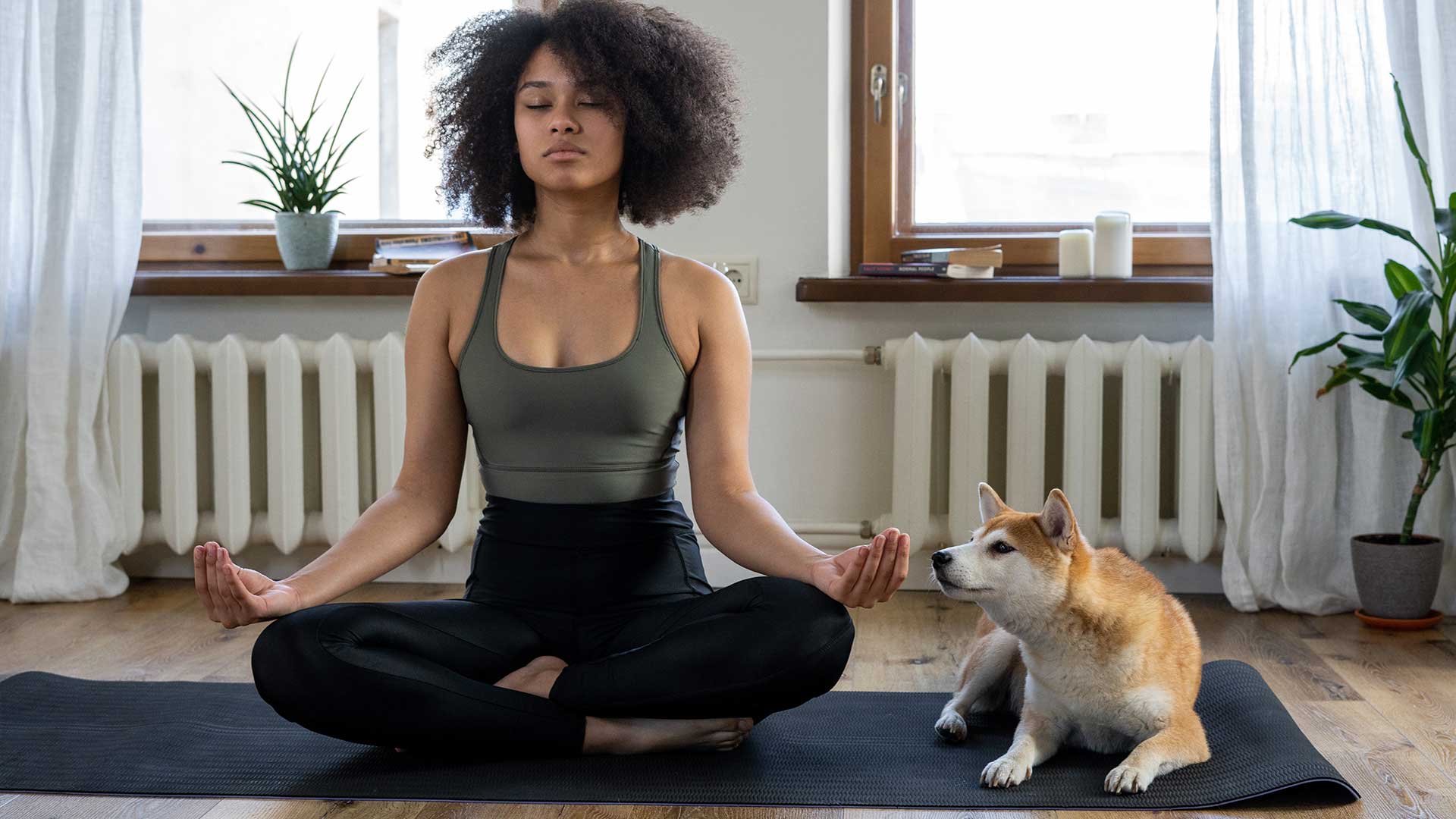 Yoga con cane e gatto